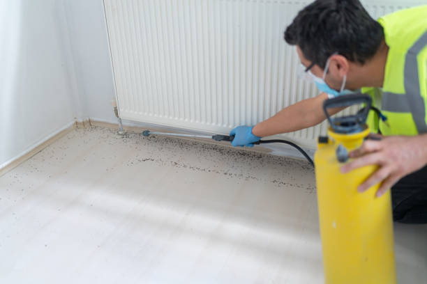 Trusted Defuniak Springs, FL Pest Control Experts
