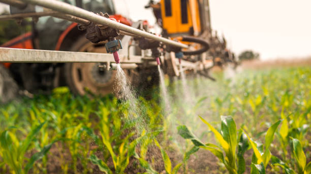 Best Commercial Pest Control Services  in Defuniak Springs, FL